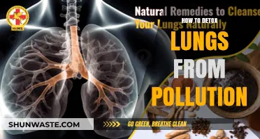 Detox Your Lungs: Natural Ways to Breathe Easier