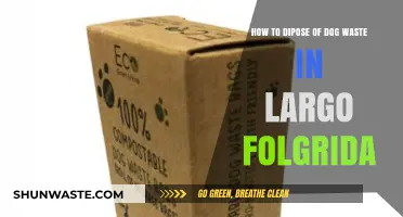 Eco-Friendly Dog Waste Disposal Tips for Largo, Florida Residents
