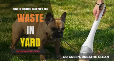 Eco-Friendly Tips for Disposing of Dog Waste in Your Backyard