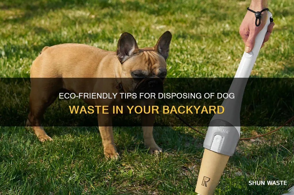how to discard backyard dog waste in yard