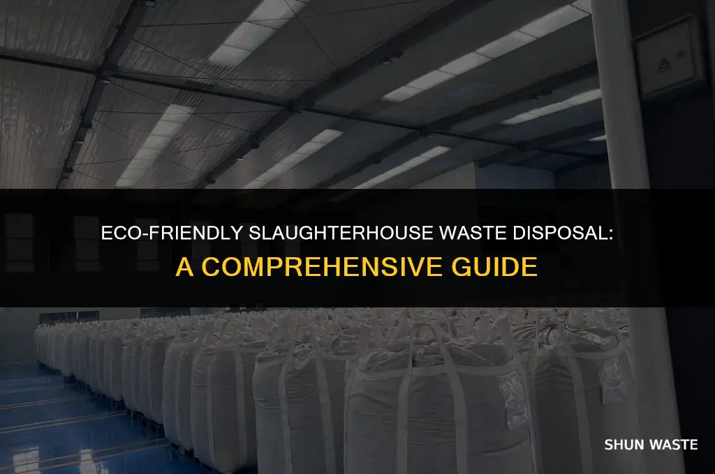 how to dispose slaughterhouse waste