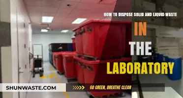 Eco-Friendly Lab Waste Disposal: Solid and Liquid Guidelines