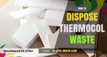 Eco-Friendly Disposal: A Guide to Managing Thermocol Waste Responsibly