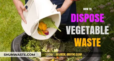 Eco-Friendly Solutions: How to Dispose of Vegetable Waste Responsibly