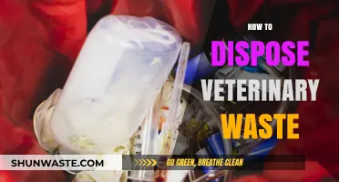 Eco-Friendly Veterinary Waste Disposal: A Comprehensive Guide