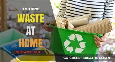 Eco-Friendly Waste Disposal: A Comprehensive Guide for Homeowners