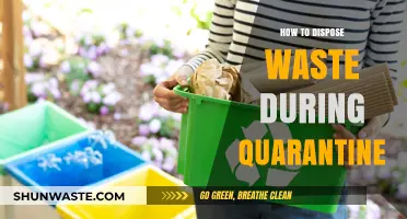 Eco-Friendly Waste Disposal Tips for Quarantine Days