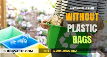 Eco-Friendly Waste Disposal: Alternatives to Plastic Bags