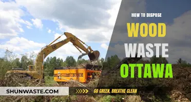 Eco-Friendly Wood Waste Disposal in Ottawa: A Comprehensive Guide