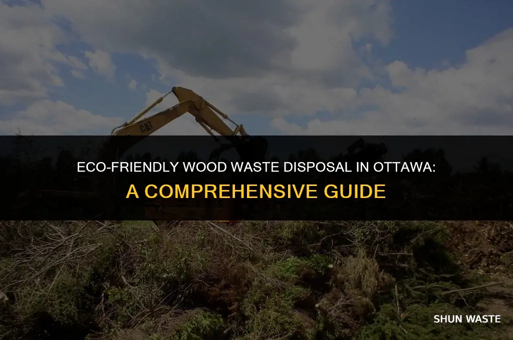 how to dispose wood waste ottawa