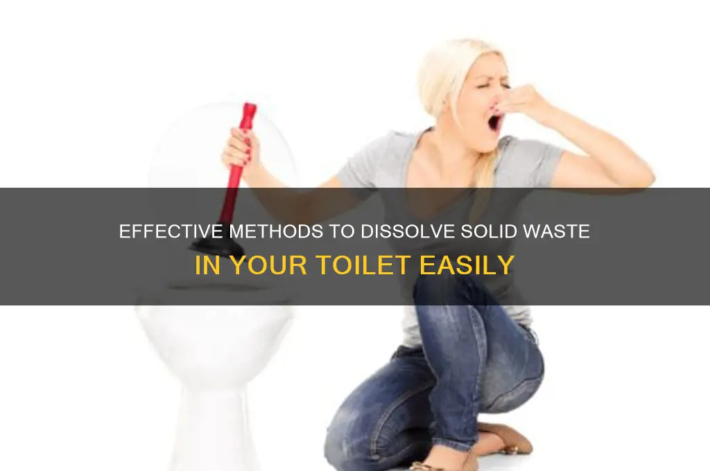 how to dissolve solid waste in toilet