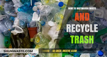 Mastering Trash Separation: How to Distinguish Waste from Recyclables