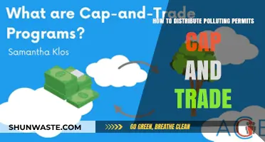 Cap and Trade: Distributing Pollution Permits Efficiently