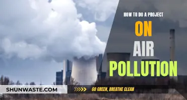 Air Pollution Project: A Comprehensive Guide