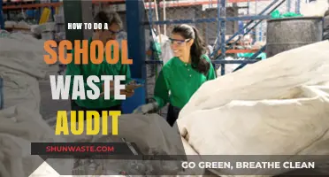 Conducting a School Waste Audit: Steps for a Greener Campus