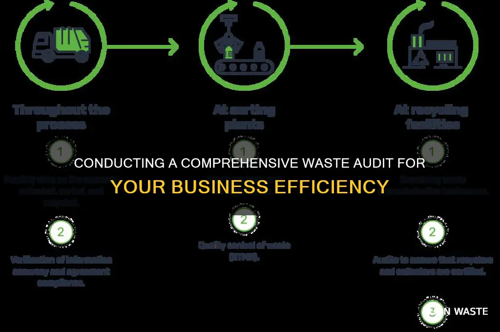 how to do a waste audit of a company