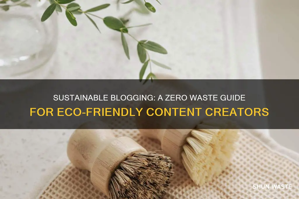 how to do a zero waste blog
