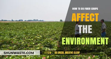 Environmental Impact of Fiber Crops: Sustainable Practices and Challenges