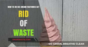 Sustainable Scoops: How Ice Cream Factories Eliminate Waste Efficiently