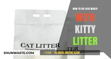 Eco-Friendly Cat Care: Reducing Waste with Sustainable Kitty Litter Tips