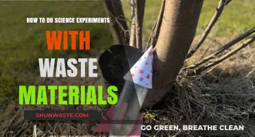Creative Science Experiments Using Everyday Waste Materials for Learning