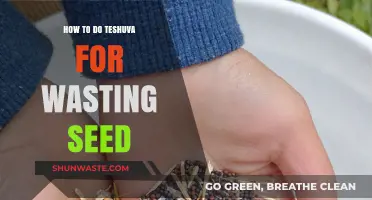 Healing and Redemption: A Guide to Teshuva for Wasting Seed