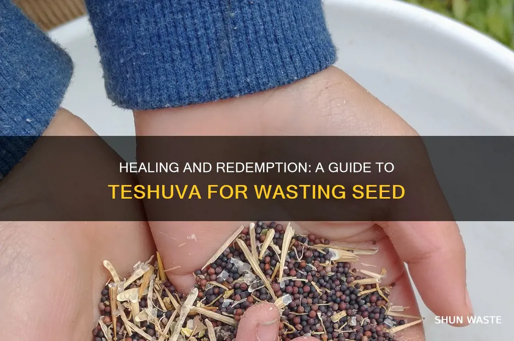 how to do teshuva for wasting seed