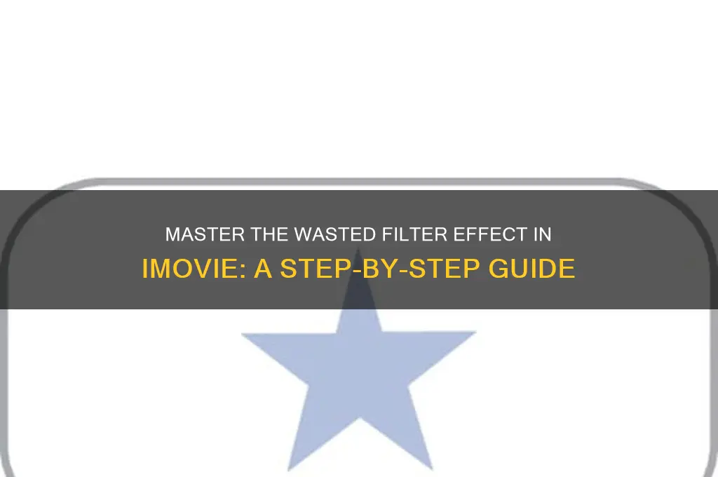 how to do wasted filter on imovie