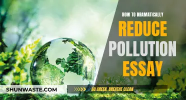 Revolutionizing Pollution Reduction: A Comprehensive Guide