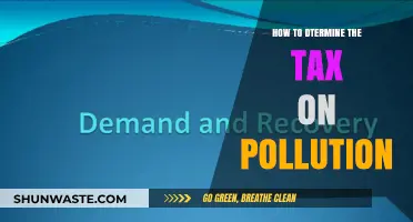 Pollution Tax: Calculating the Cost of Environmental Damage