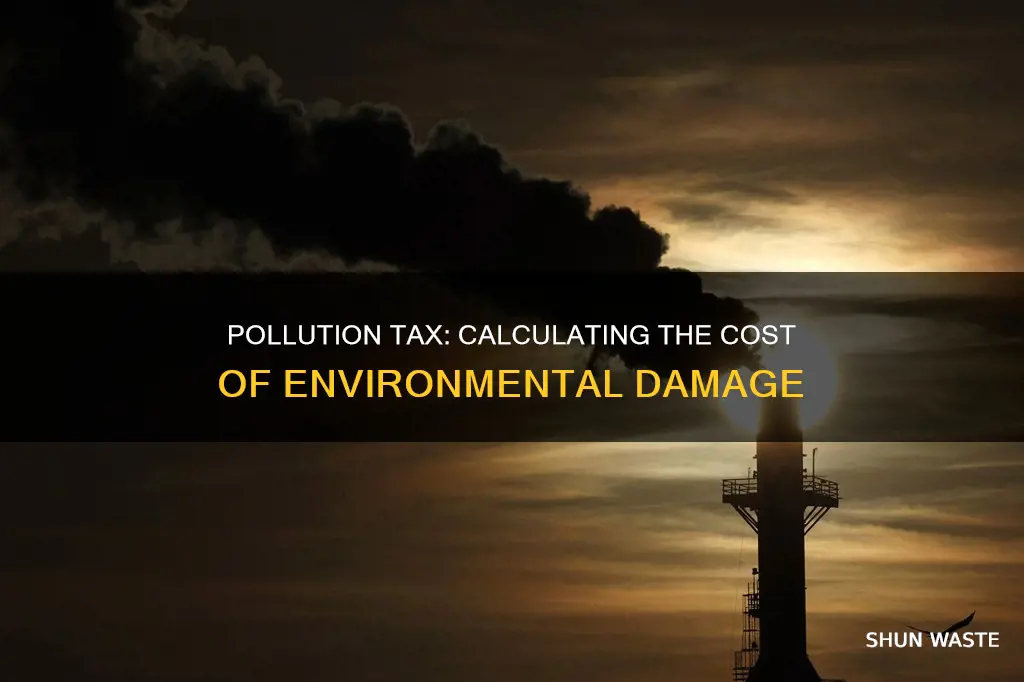 how to dtermine the tax on pollution