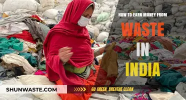 Turning Trash to Cash: Innovative Ways to Earn from Waste in India