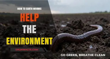 Earthworms: Unsung Heroes of Soil Health and Environmental Balance