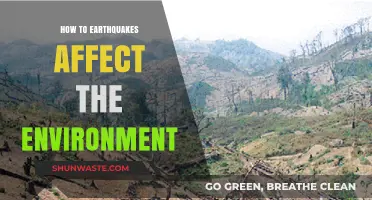 Earthquakes' Environmental Impact: Shaking Ecosystems and Reshaping Landscapes