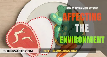 Sustainable Meat Consumption: Eco-Friendly Tips for a Greener Diet