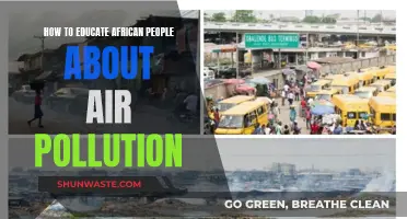 Educating Africans: Understanding Air Pollution's Impact