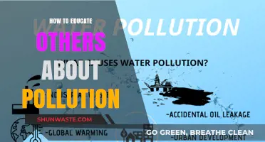 Educating Others About Pollution: Strategies for Impact