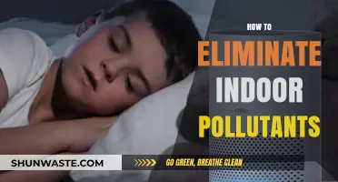 Purifying Your Home: Eliminating Indoor Pollutants
