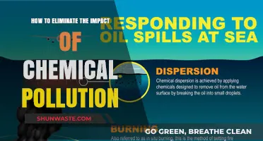 Green Revolution: Eradicating Chemical Pollution's Impact