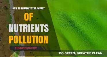 Nutrient Pollution: Strategies for Mitigating Its Environmental Impact