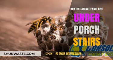 Effective Ways to Remove and Prevent Wasp Nests Under Porch Stairs