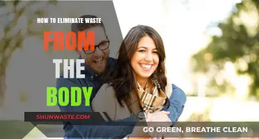 Effective Ways to Detoxify and Eliminate Waste from Your Body