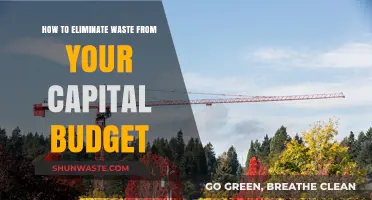 Streamline Spending: Strategies to Eliminate Waste in Capital Budgets