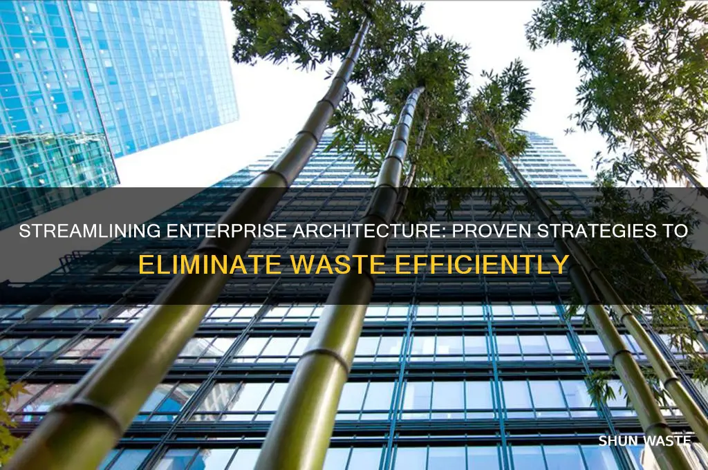 how to eliminate waste in enterprise architecture
