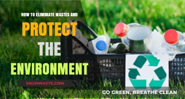 Sustainable Living: Effective Strategies to Reduce Waste and Protect Our Planet