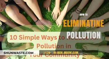 Green Revolution: Eradicating Pollution for a Sustainable Future