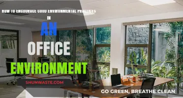 Sustainable Office Habits: Simple Steps to Foster Eco-Friendly Workplace Culture