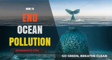 Ending Ocean Pollution: A Comprehensive Guide