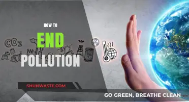 Ending Pollution: A Sustainable Future for All