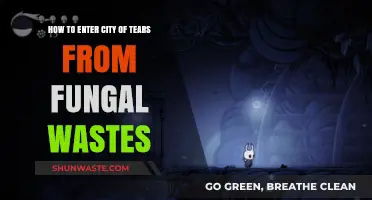 Navigate from Fungal Wastes to City of Tears: A Step-by-Step Guide